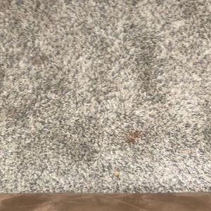 Meet your Posher, Alexa